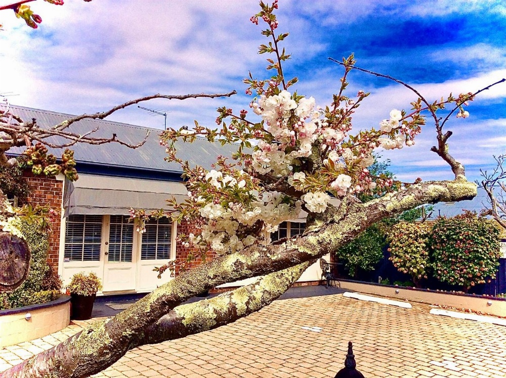 Kurrajong House Main image