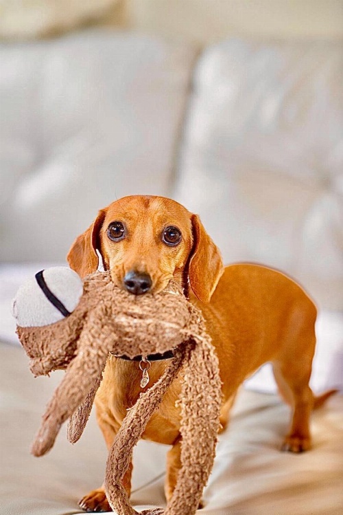 Kurrajong House image 26