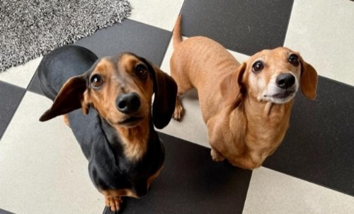 Kurrajong House image 42