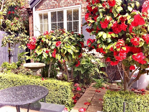 Kurrajong House image 50